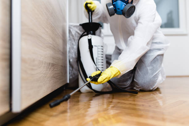 Best Insect Control  in Jefferson, GA