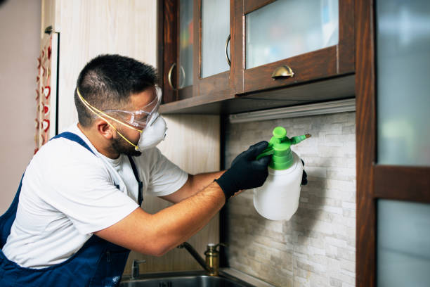 Best Commercial Pest Control Services  in Jefferson, GA