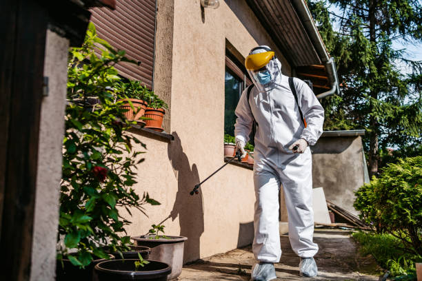 Insect Control in Jefferson, GA