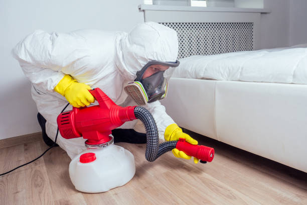 Best Termite Control Services  in Jefferson, GA