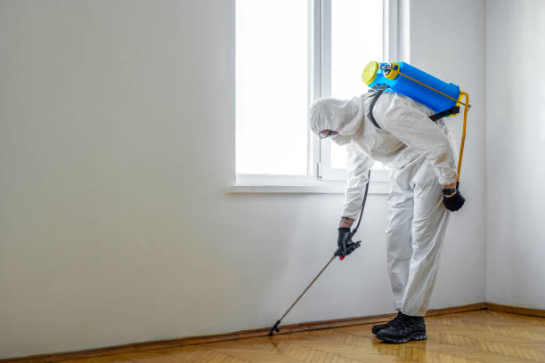 Best Emergency Pest Control  in Jefferson, GA