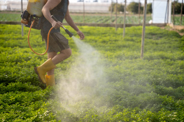 Best Best Pest Control Companies  in Jefferson, GA