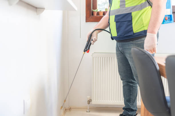 Best Wasp Removal Services  in Jefferson, GA