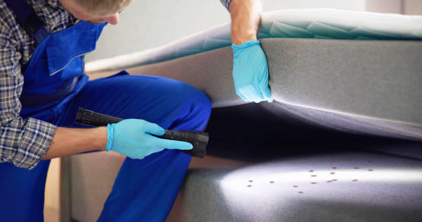 Best Ant Control Services  in Jefferson, GA