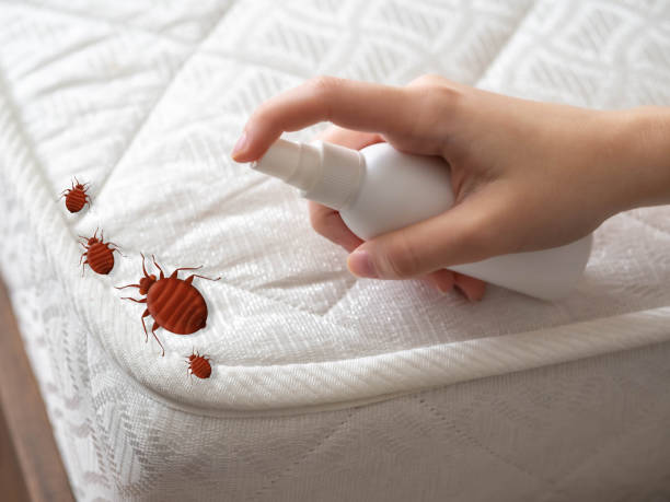 Best Bed Bug Extermination  in Jefferson, GA