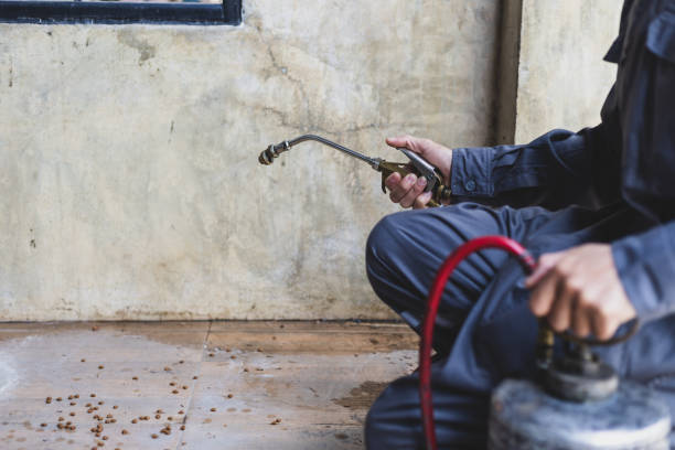 Trusted Jefferson, GA Pest Control Experts